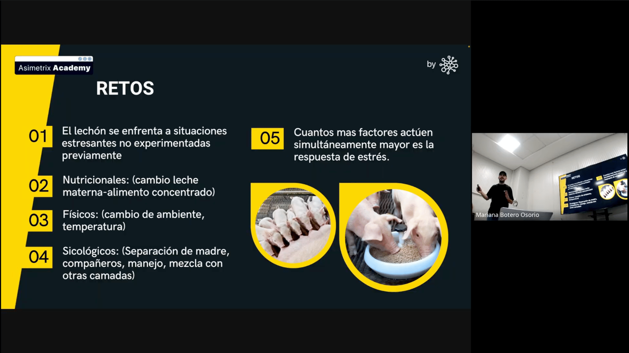 Captura de pantalla 2025-04-03 a la(s) 2.40.18 p. m.