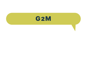 G2M G2M